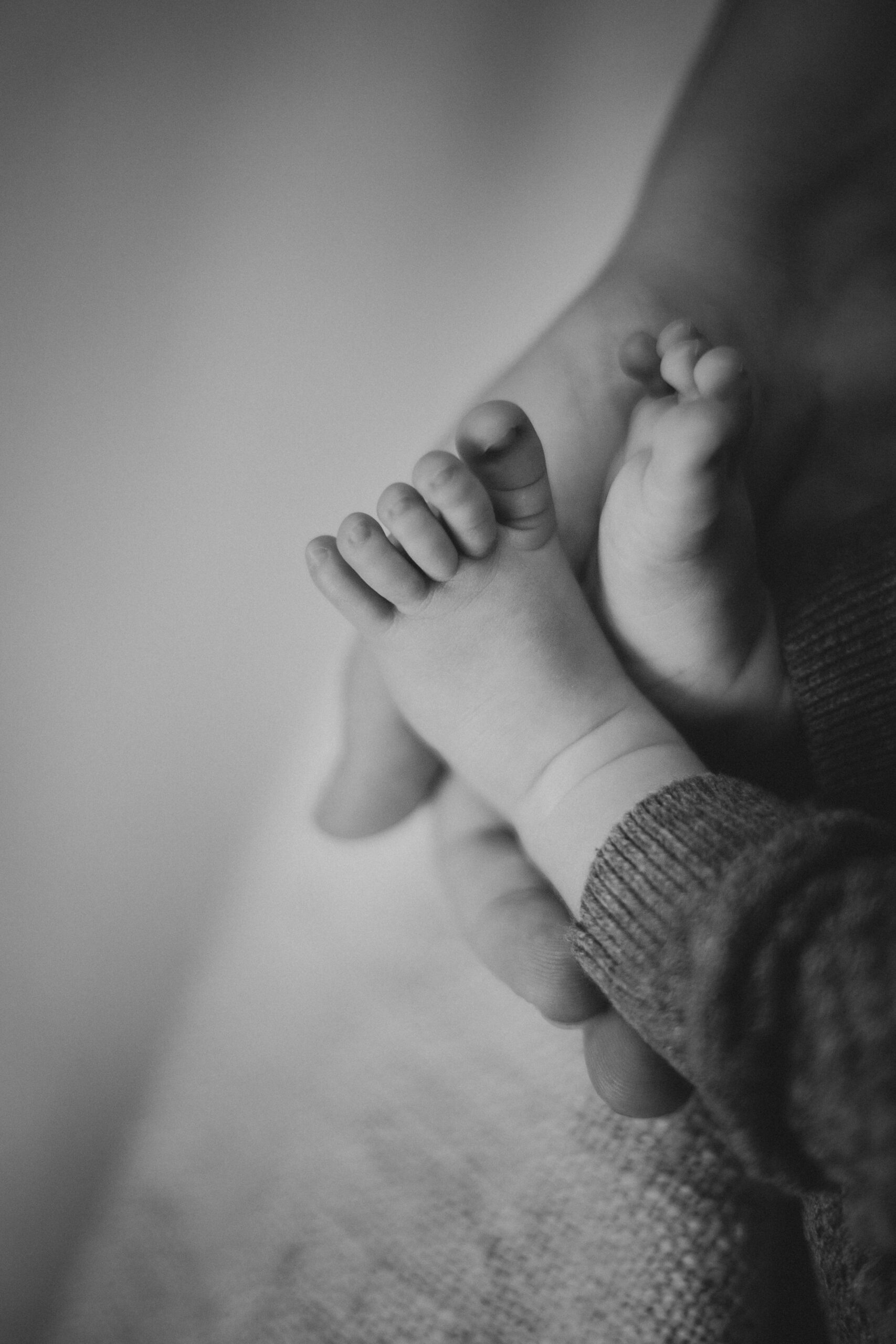 NEWBORN - immagine 17